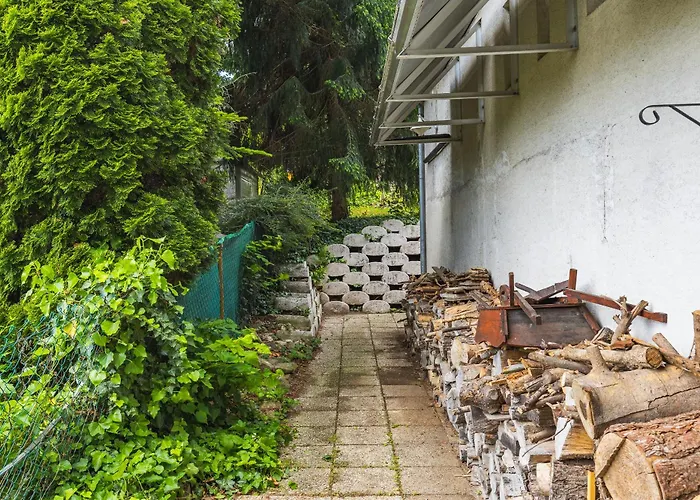 Grand Forest Escape Dom wakacyjny *