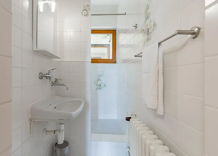 Grand Forest Escape * Bratislava